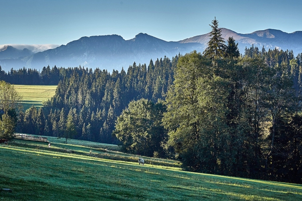 Widok na Giewont